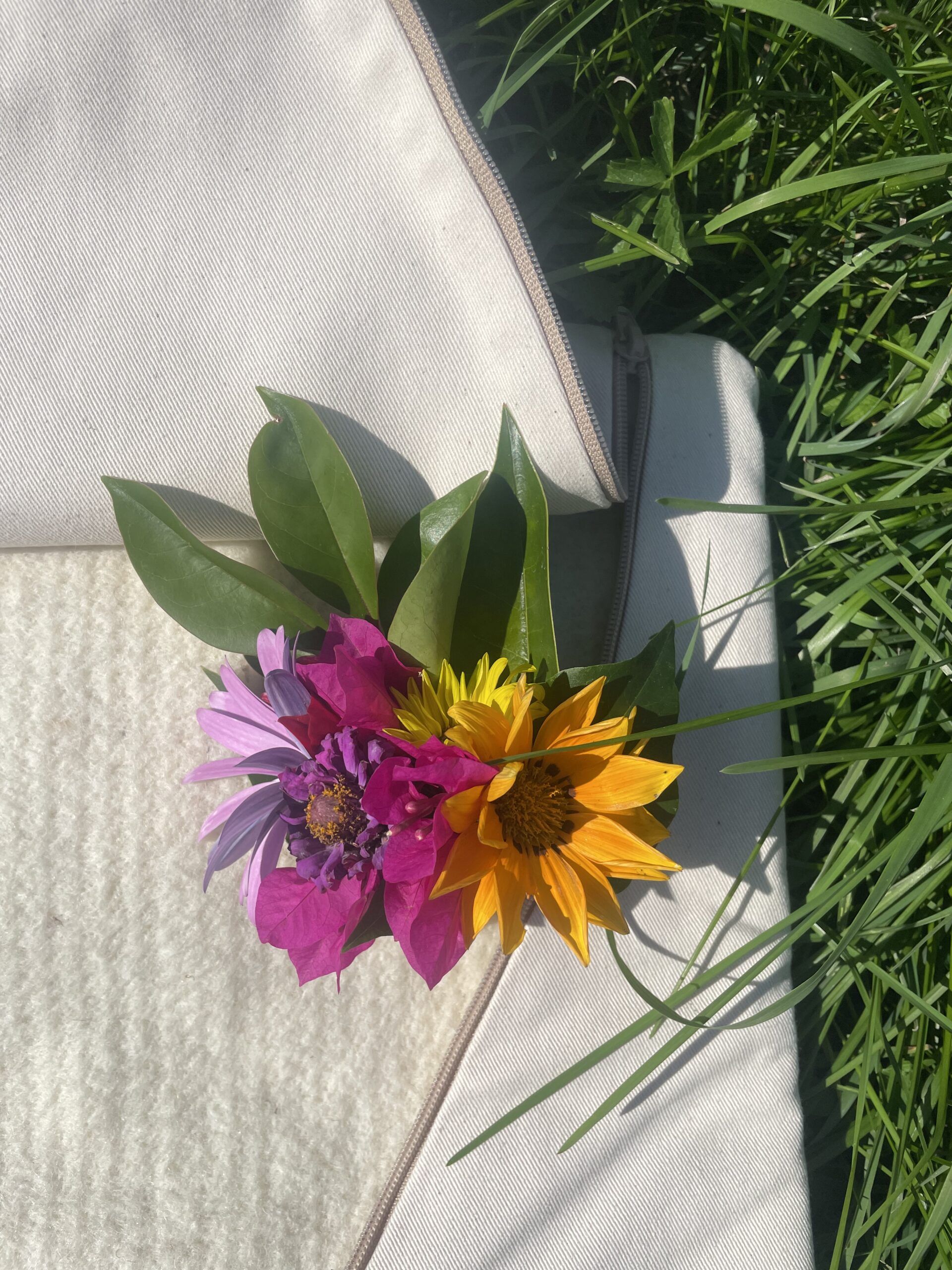 IMG_3843 Housse à zipper