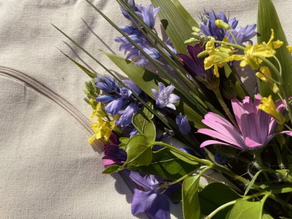 IMG_1167 Housse à zipper